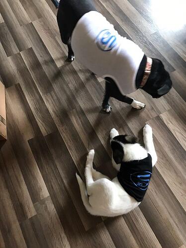 photo_2019-11-21_13-25-31