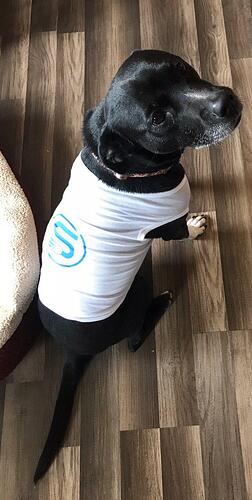 photo_2019-11-21_13-25-29