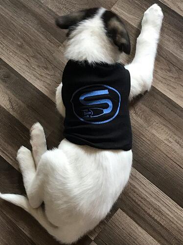 photo_2019-11-21_13-25-30